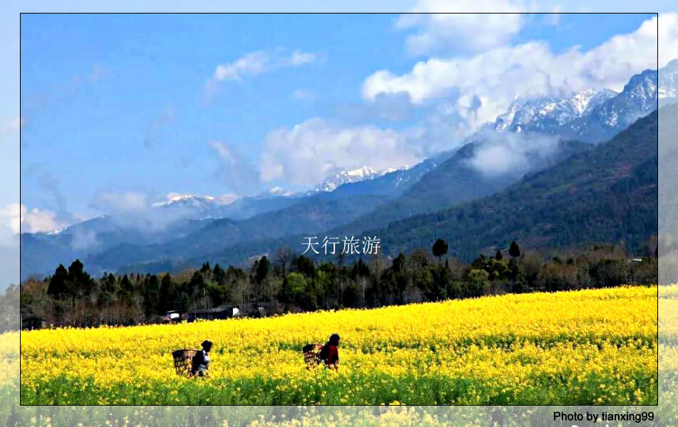 高黎贡山