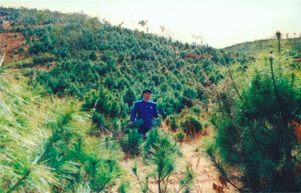 腾冲红色旅游点推荐施甸善洲林场旅游让绿水青山变成金山银山