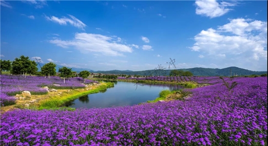 美上央视的栖花岭保山腾冲市曲石镇雅居乐原乡栖花岭景区腾冲四季观光