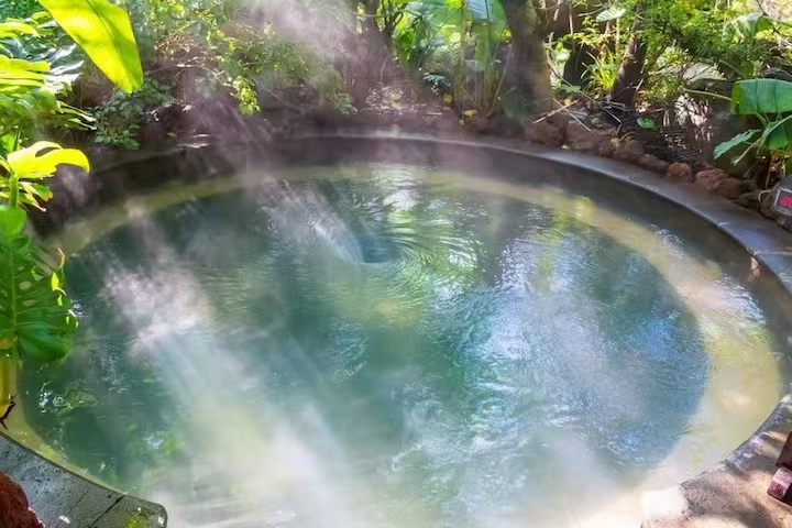 云南旅游,云南旅行社,云南团建公司,云南策划公司,腾冲旅游,腾冲旅行社,腾冲团建公司,腾冲策划公司:腾冲会奖旅游团建首选!森林温泉疗愈凝聚力翻倍