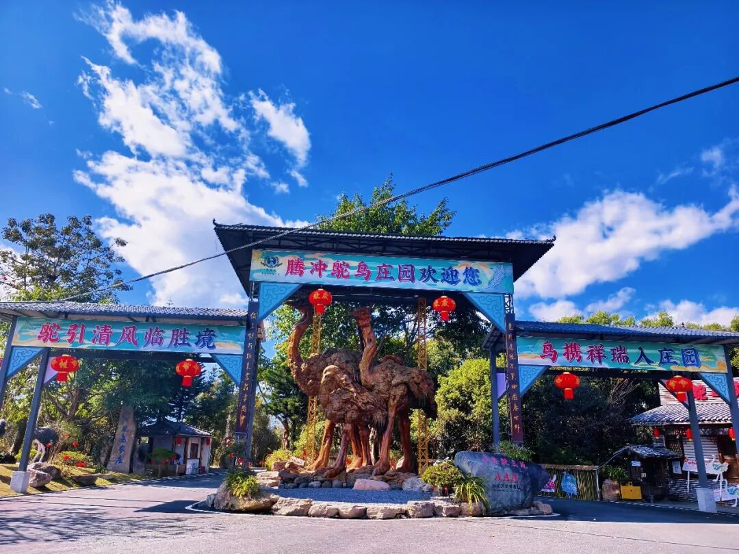云南旅游,云南旅行社,云南团建公司,云南策划公司,云南会议会展,云南策划执行,腾冲旅游,腾冲旅行社,腾冲团建公司,腾冲策划公司,腾冲会议会展：19℃夏日限定！腾冲鸵鸟庄园「梅好初夏・鸵趣狂欢」杨梅节，转发免费畅吃